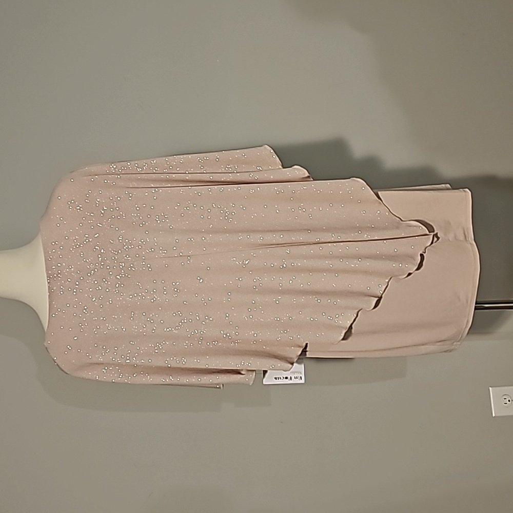 EN FOCUS Studio woman Sparkly Nude + Gold Sheer Tank Dress 16W NWT - Picture 10 of 14
